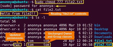 Demystifying chmod 777 : The Linux Permissions Command .